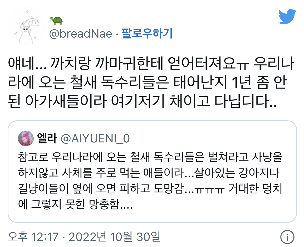 우리나라에 오는 독수리는... | 인스티즈