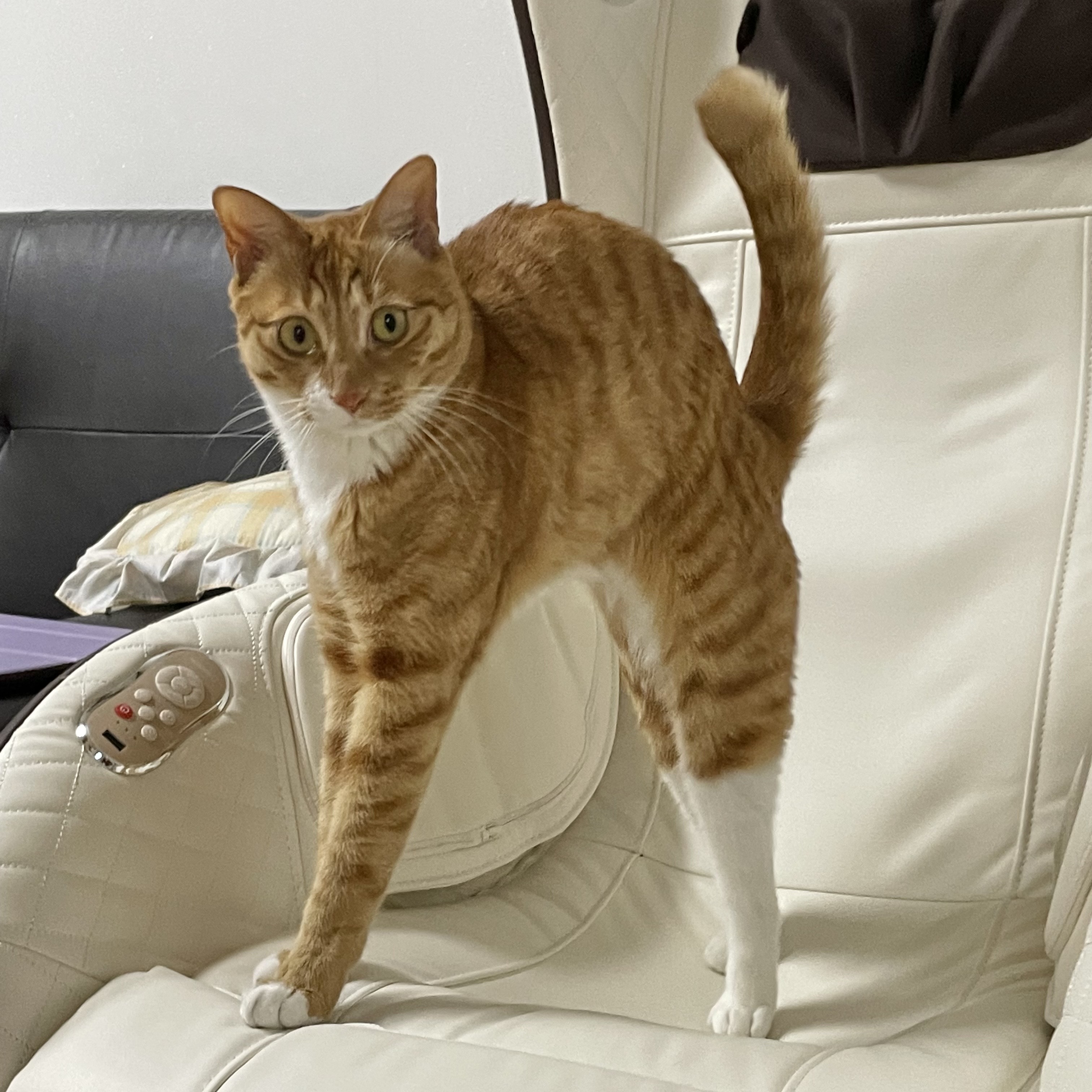 가... | 인스티즈