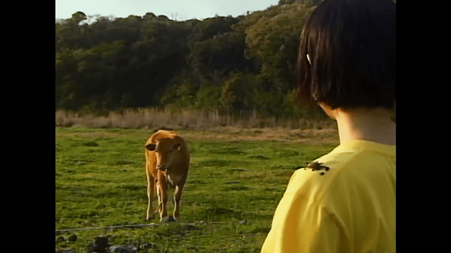 뉴진스 버블검 뮤직비디오 감독이 쓴 작업 후기 | 인스티즈