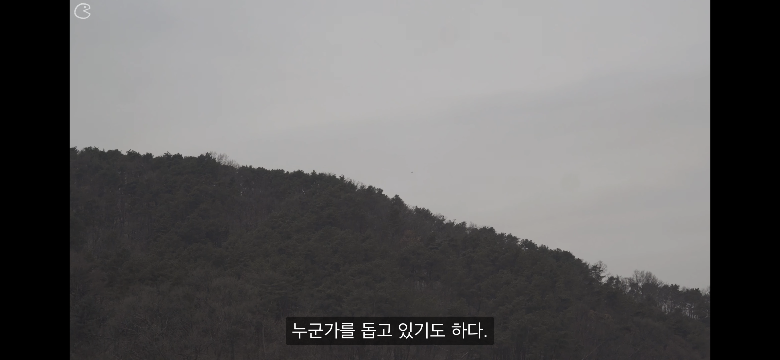 리틀포레스트 감성의 요리 유튜브 | 인스티즈