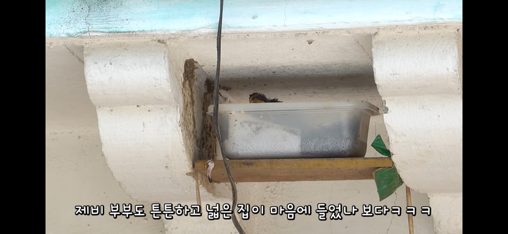 금은보화가 들어있는 박씨를 얼마나 받을지 궁금한 매탈남 | 인스티즈