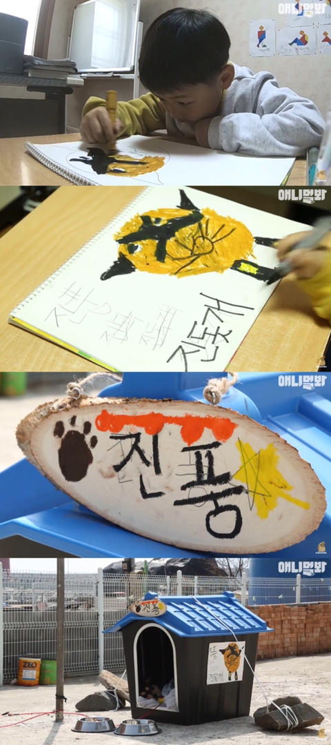 섬마을 남매가 강아지를 환영하는 완벽한 방법 | 인스티즈