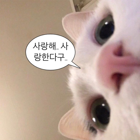 짝사랑 짤.jpg | 인스티즈