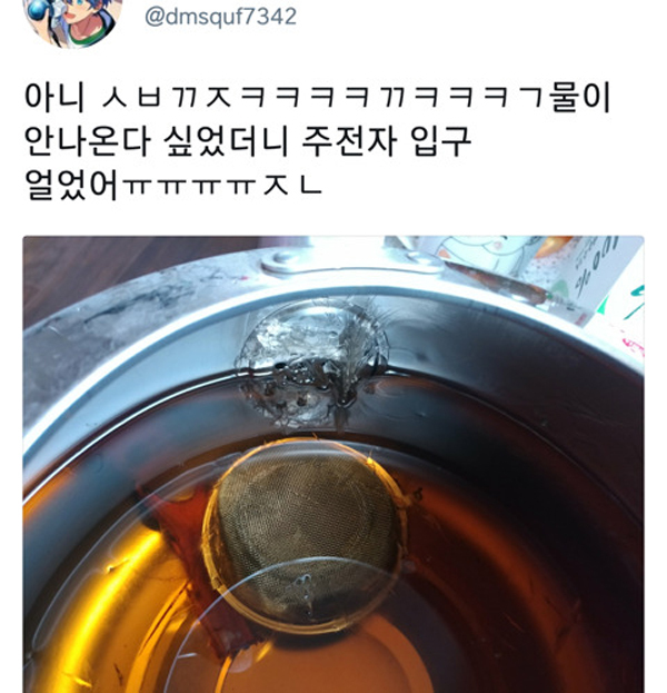 다 얼었던 2018년 그때의 겨울 | 인스티즈