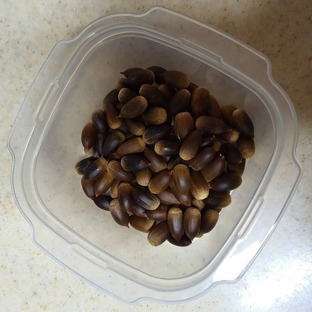 c0e4d0c1f17baf2df5216fca21a32cc4fd8ddb08