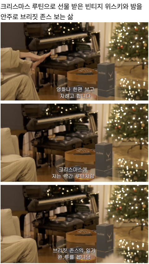 요즘 제일 부러운 싱글 여성의 삶.jpg | 인스티즈