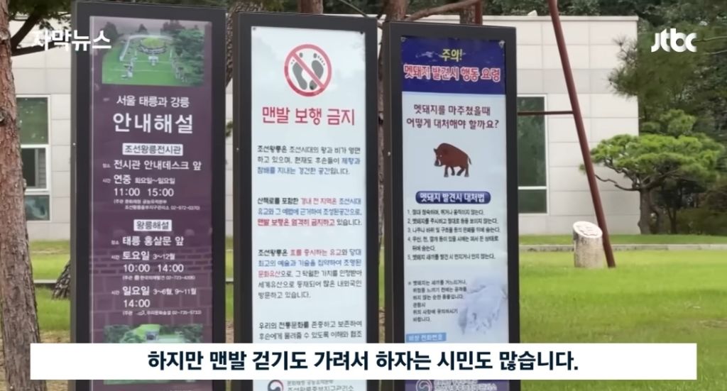 경고문도 무시하고 맨발걷기 하는 사람들 | 인스티즈