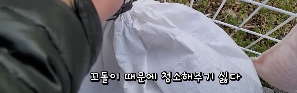 매맞는 삶을 살고있는 매탈남 근황 | 인스티즈