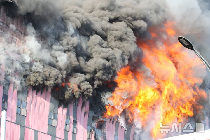 김건희의 분홍색, 이번 한강버스도 분홍색이 있다‼️⁉️ | 인스티즈