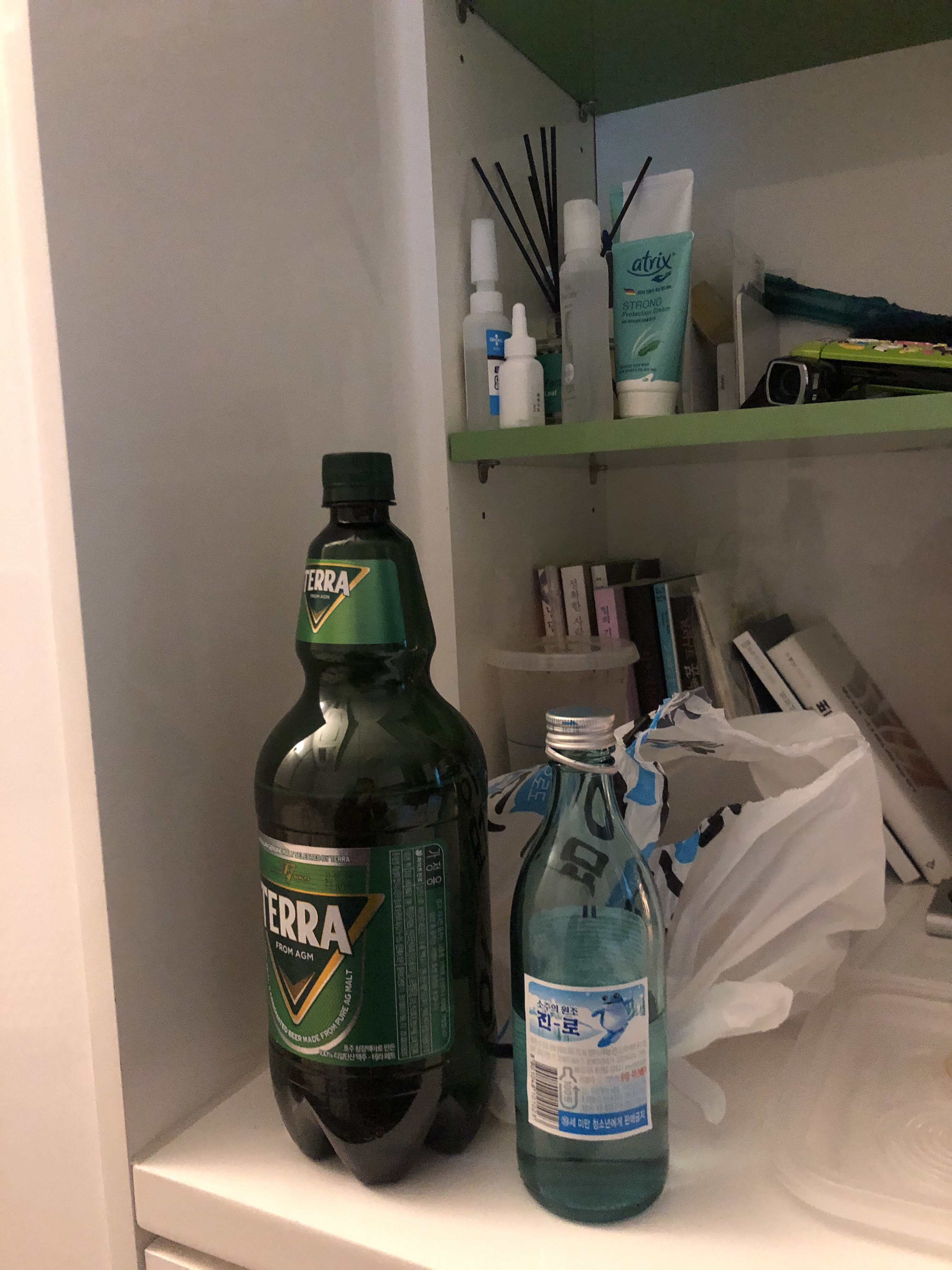 자취생의 혼술 일기 (스압/날것주의) | 인스티즈