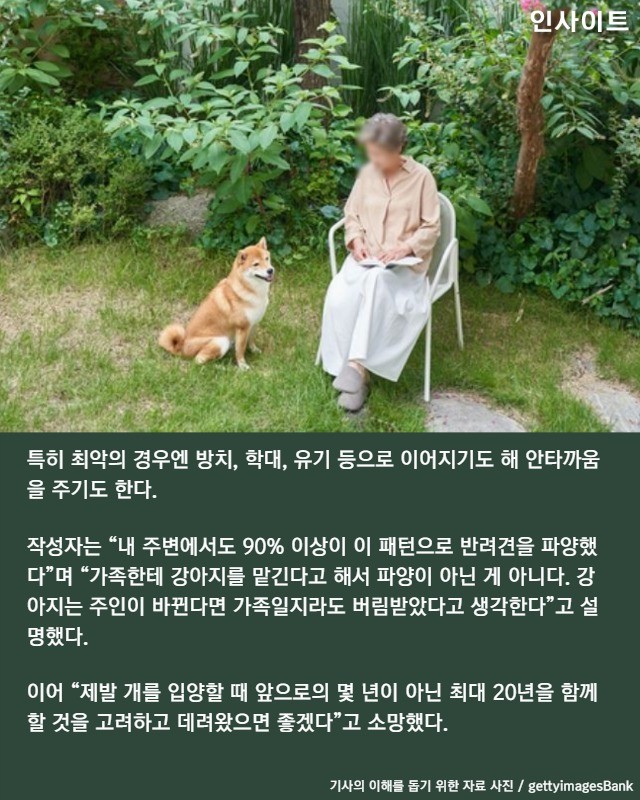 요즘 반려견 파양하는 청년들이 '죄책감' 안느끼려고 쓰는 방법 | 인스티즈