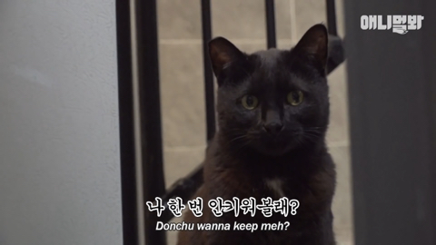 밤낮없이 집 도어락을 누르는 누군가때문에 고민인 부부 | 인스티즈