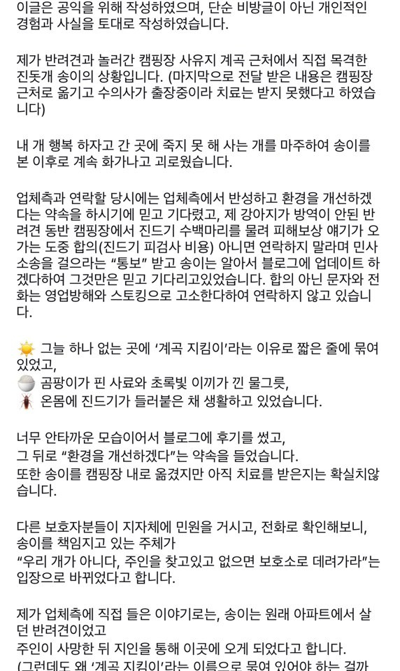 쩌리에서 논란이였던 계곡 방치견에 대한 캠핑장 피드백 | 인스티즈