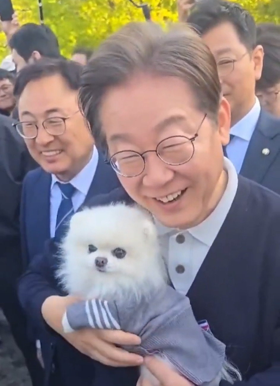 이재명 김문수로 보는 올바르게 강아지 안는 방법 | 인스티즈