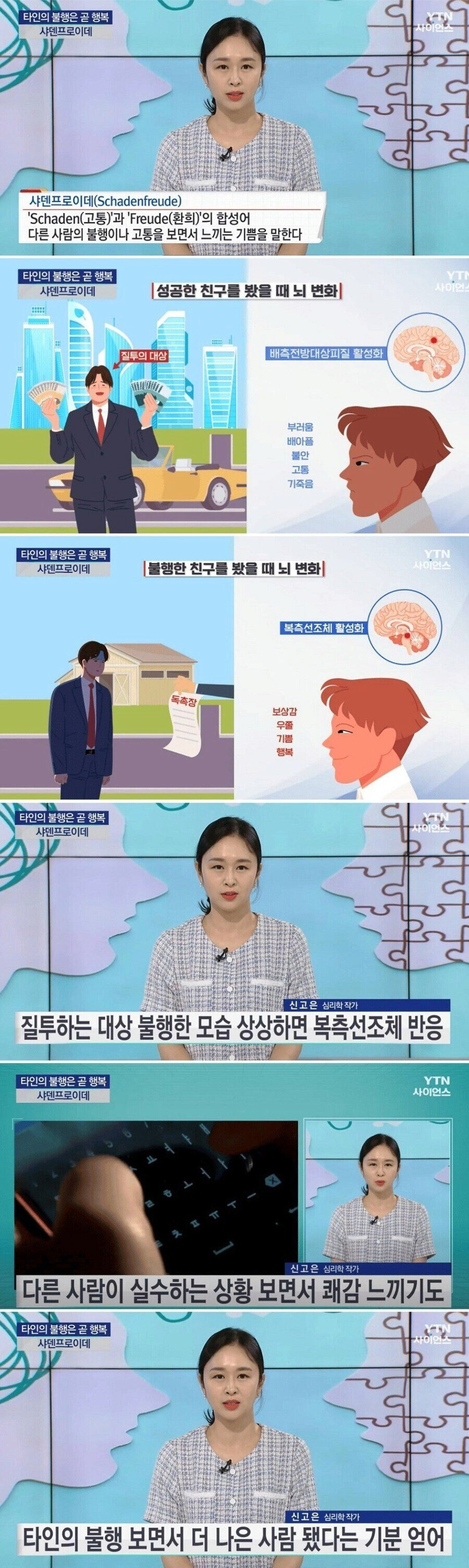 다른 사람이 실수하는 상황 보면서 우쭐함과 행복과 쾌감 느낀다는 인간의 뇌 | 인스티즈