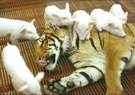 일반적인 상식을 뒤엎는 부모 자식 관계.jpg | 인스티즈