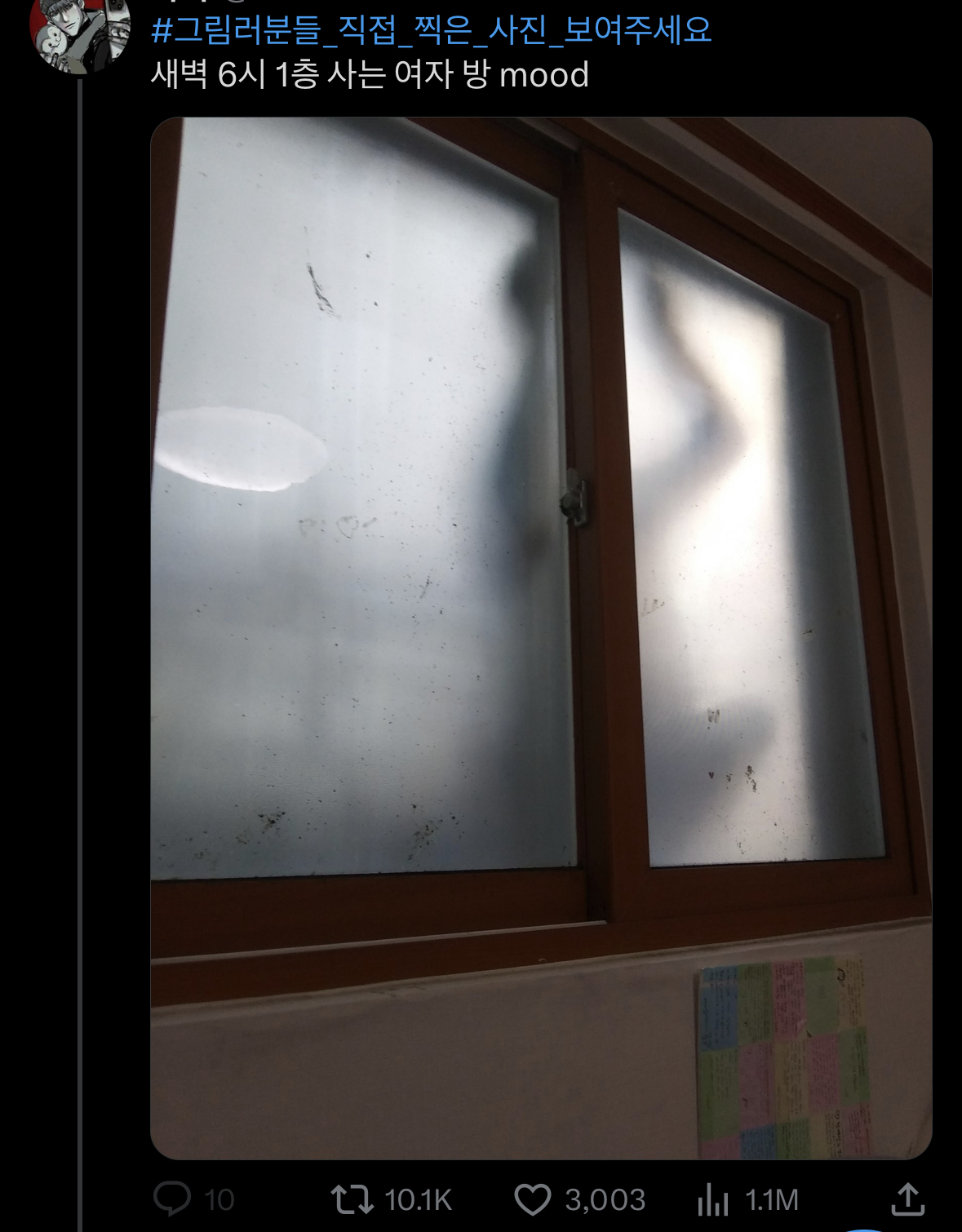 새벽 6시 1층 사는 여자 방 창문.twt | 인스티즈