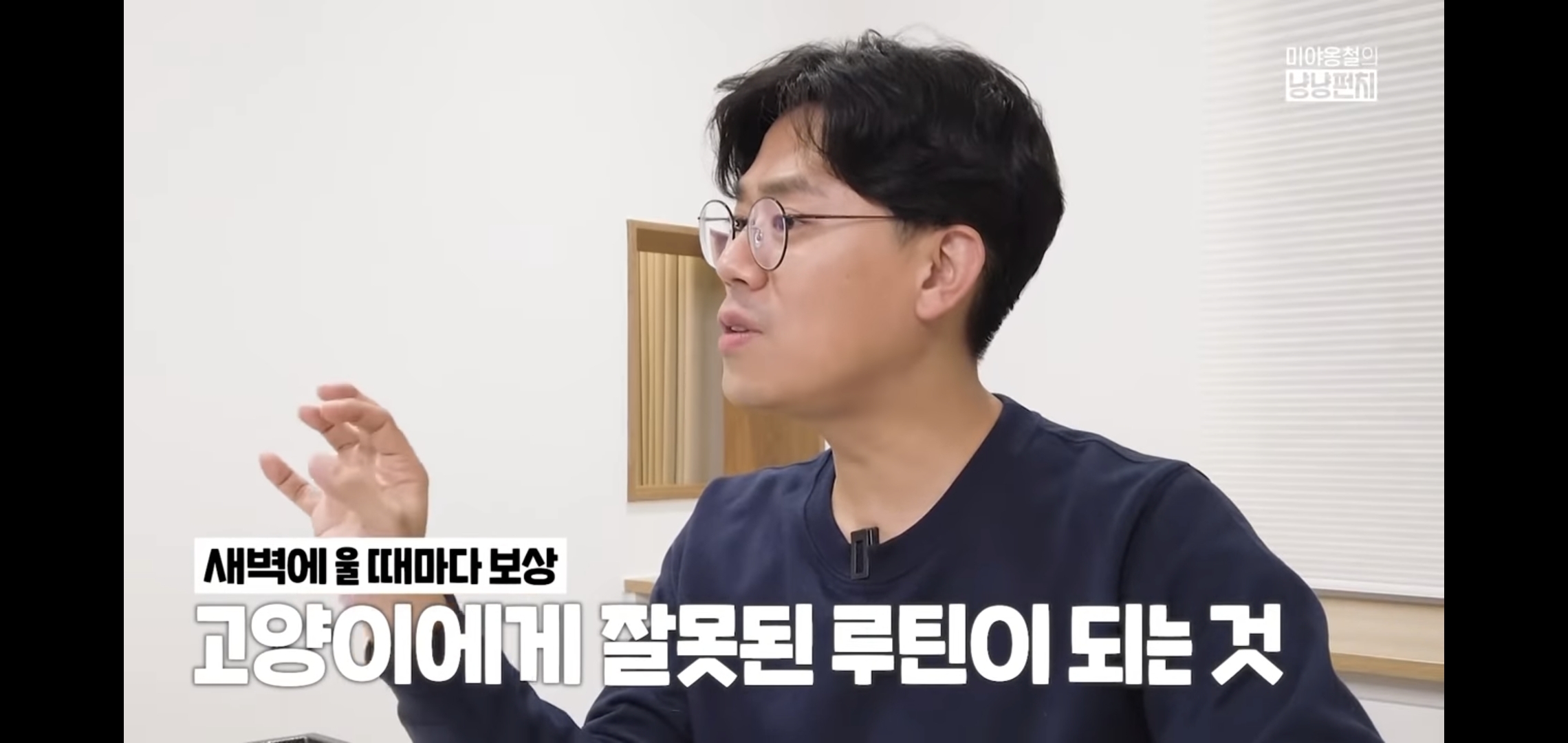 고양이 분리불안을 만드는 집사의 5가지 행동.jpg | 인스티즈