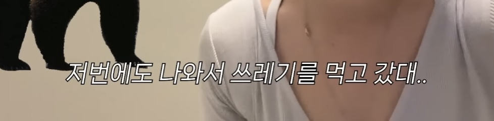 미국 이민갔는데 집에서 곰 나옴… | 인스티즈