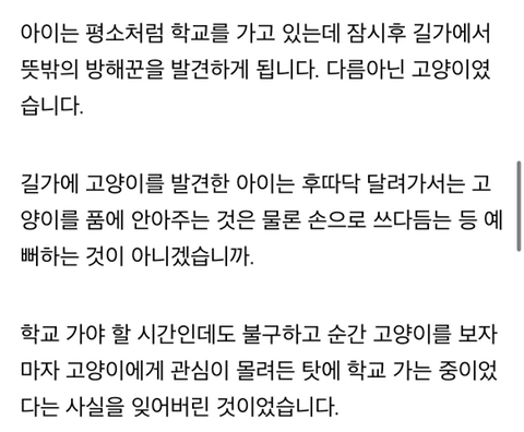 학교에 매일 같이 지각한다는 선생님 말에 등교하는 아들 뒤따라갔던 엄마가 마주한 상황 | 인스티즈