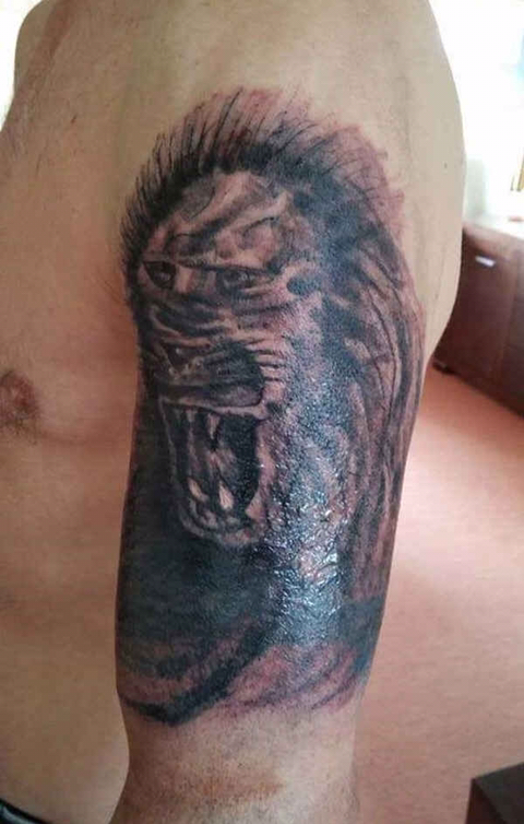 c253431c445cab057ca4981feec192c0ed8fe671