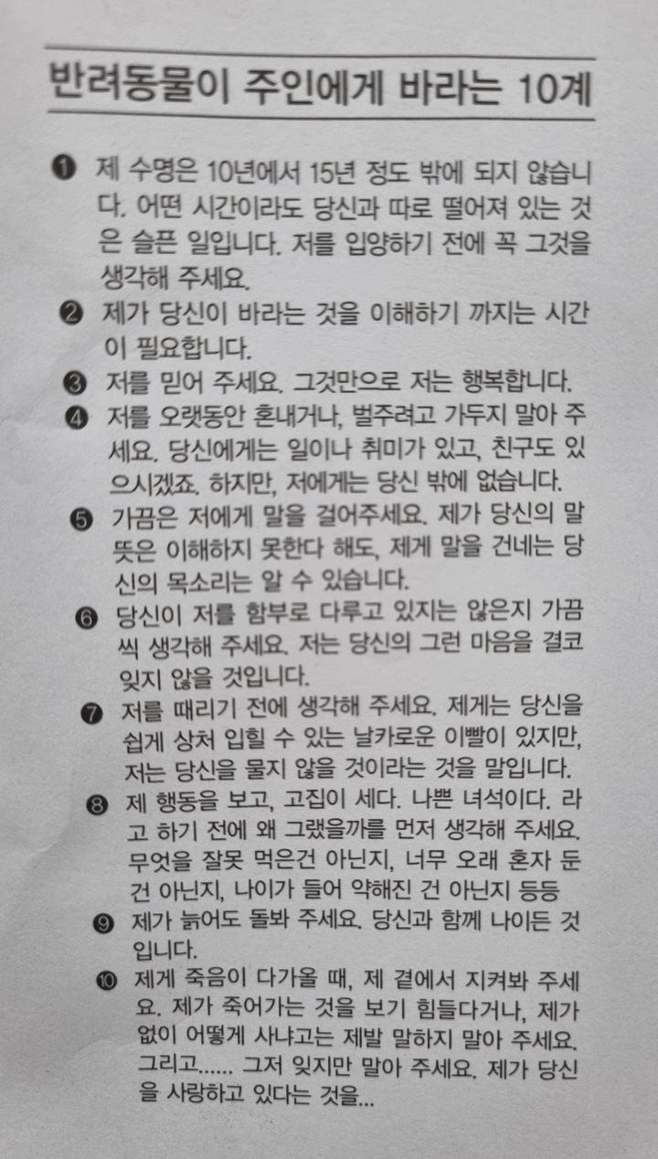 반려동물이 주인에게 바라는10계 | 인스티즈