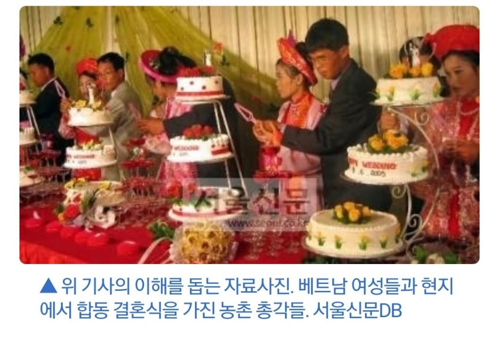 "비자 나오면 도망”…노총각 국제결혼 실태 | 인스티즈
