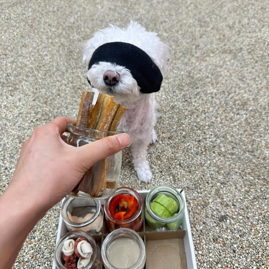 강아지유치원 흑백요리사 | 인스티즈