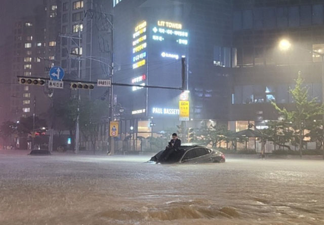 아주 서울을 개 조져버린 대재앙 | 인스티즈