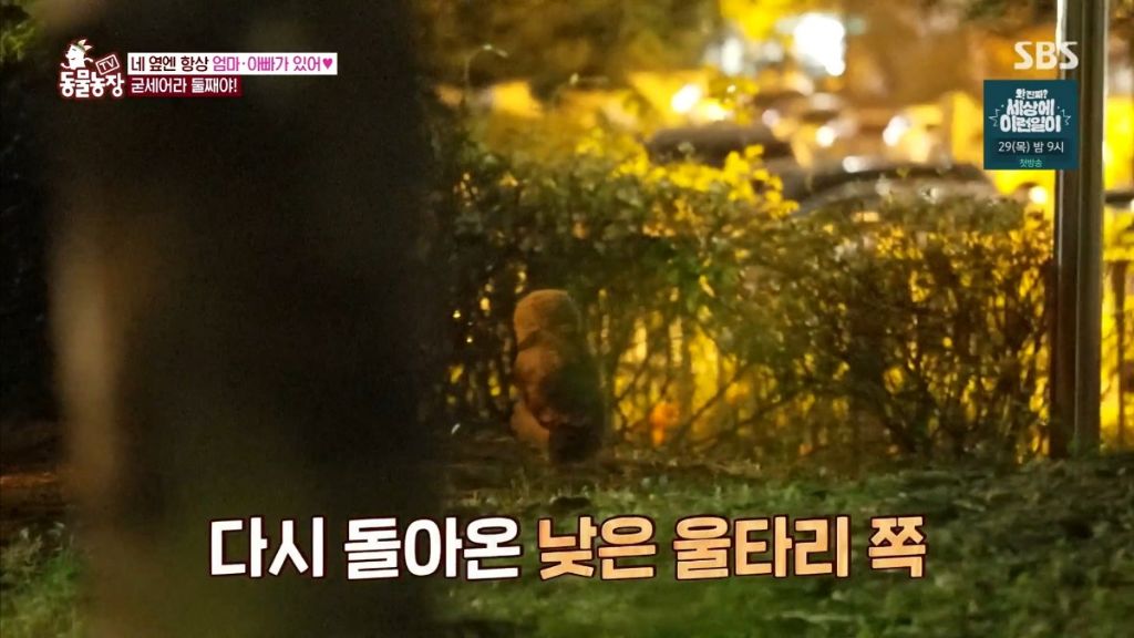 오늘 레전드라고 난리난 동물농장.jpg | 인스티즈