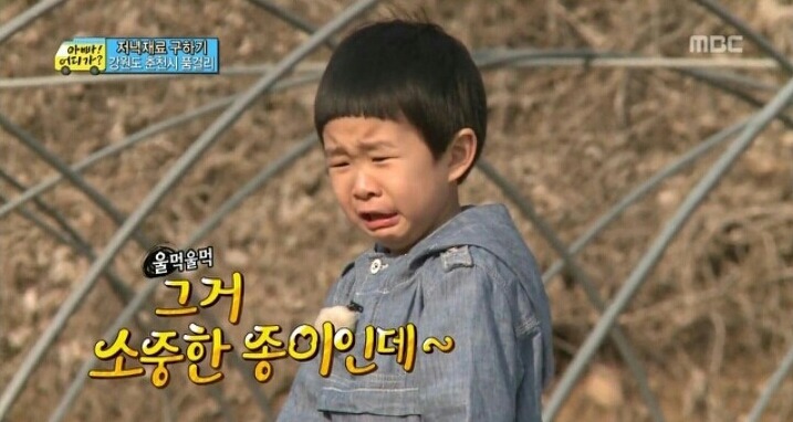 한때 짤방계의 대주주였던 아빠어디가 | 인스티즈