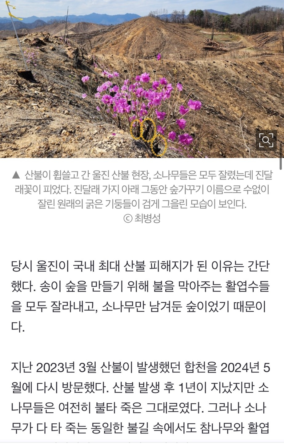 산불 발화지점 가보고 깜짝 놀랐다, 대형산불의 진짜 원인 [최병성 리포트] | 인스티즈