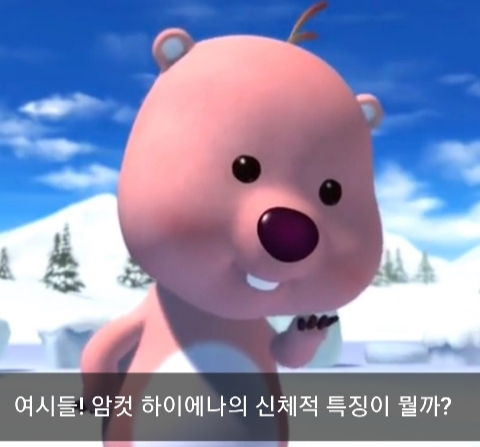 🙋‍♀️암컷 하이에나가 갖고 있는 신체적 특징이 뭔지 알아?🙋‍♀️ | 인스티즈