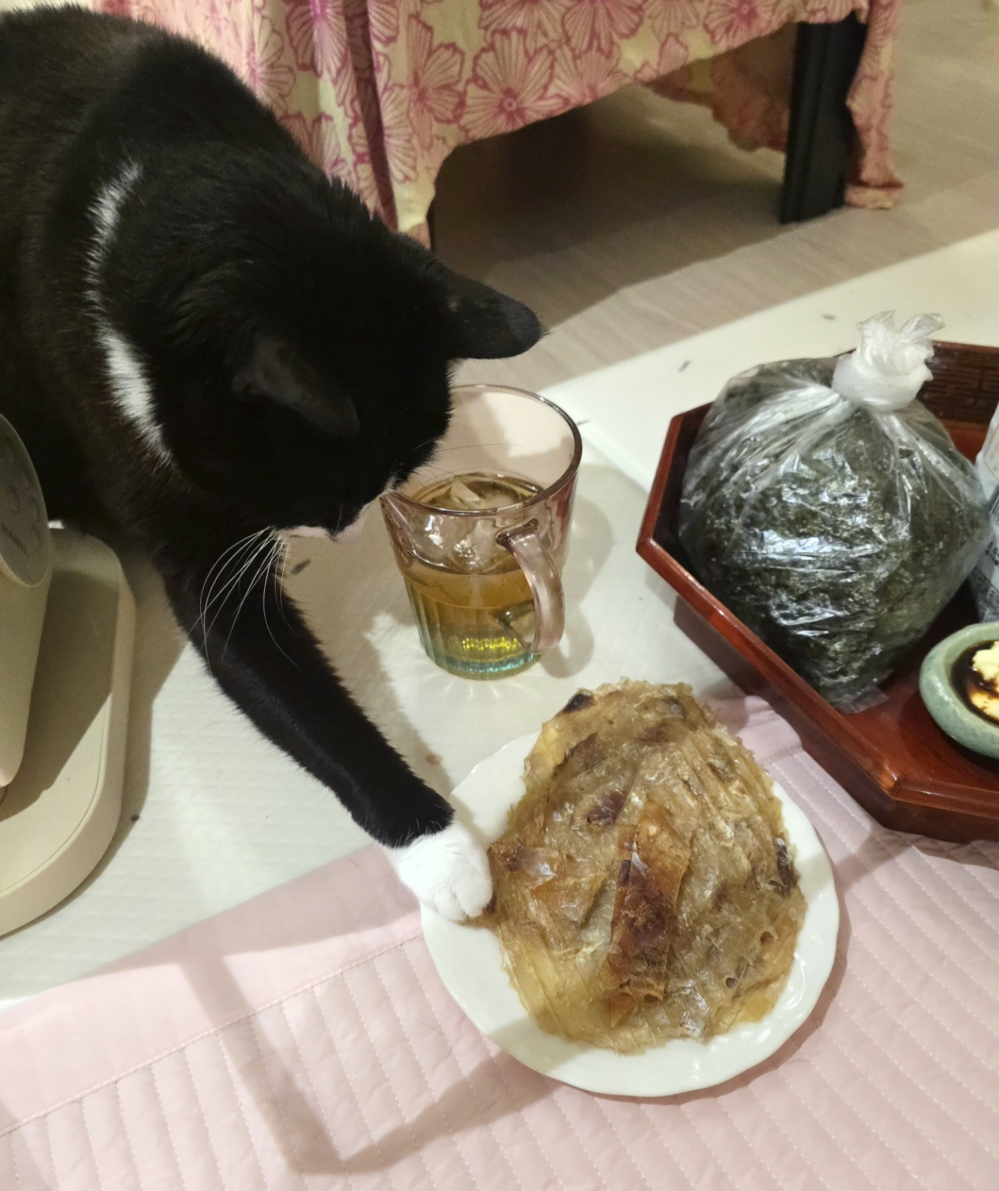 안주 뽏이는 고양이 어떤데 ㅋ 5나탄 ㅋ | 인스티즈