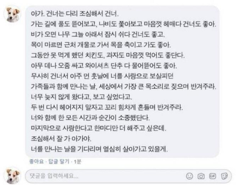 사랑이라고 생각하는 짤 올려보는 달글 | 인스티즈