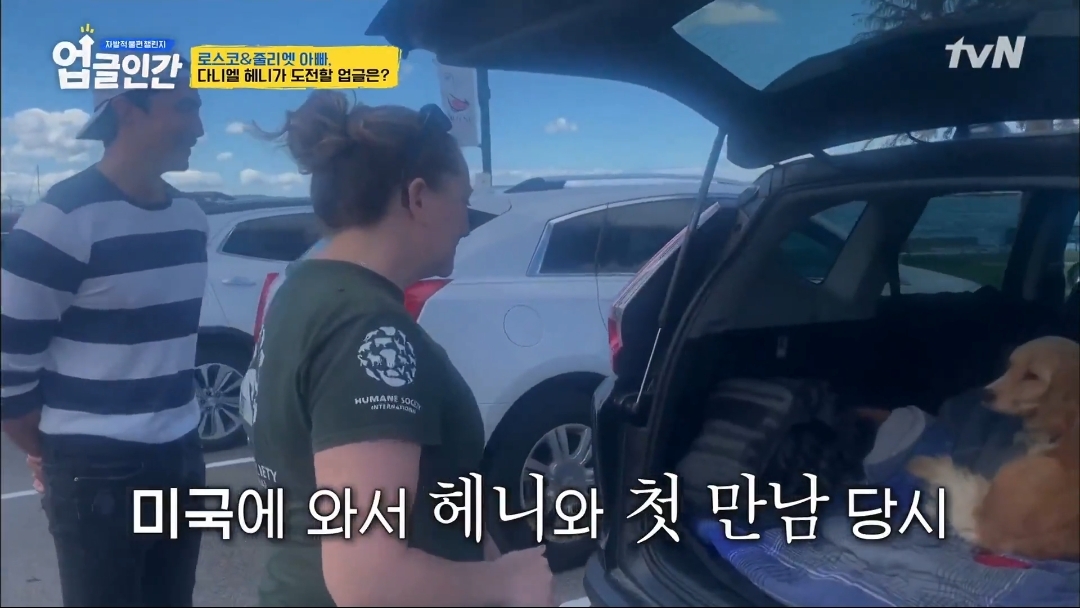 식용견 농장에서 구출된 다니엘 헤니의 강아지 로스코, 줄리엣 | 인스티즈