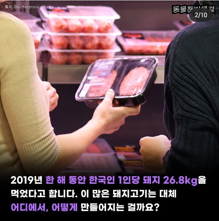 죽을때까지 강제 임신과 출산을 하는 출산기계 | 인스티즈