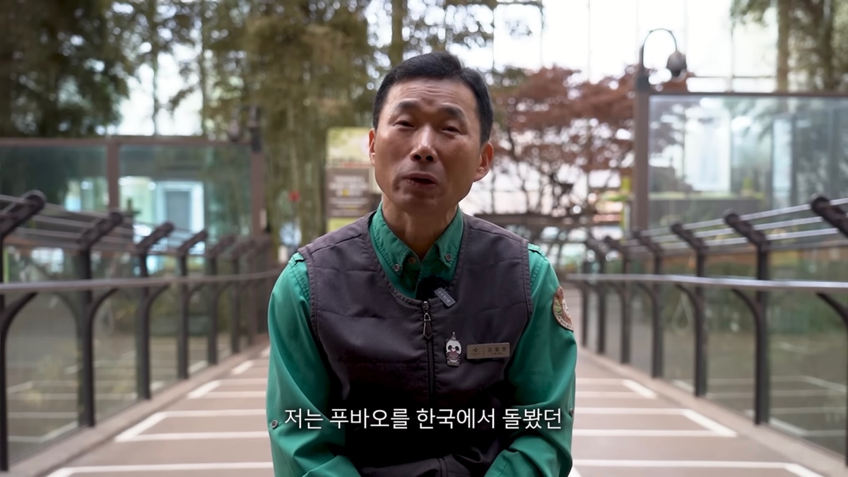 강바오가 중국 사육사에게 보내는 영상편지 (오열주의) | 인스티즈