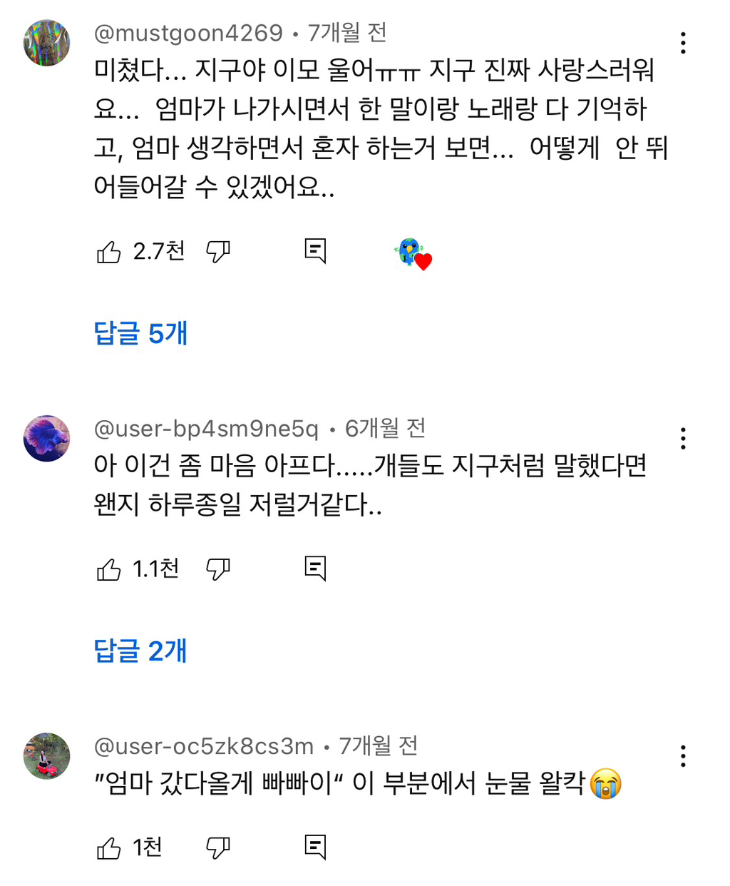 앵무새를 집에 놔두고 외출할 수 없는 이유 / 펫캠 보고 폭풍 오열 | 인스티즈