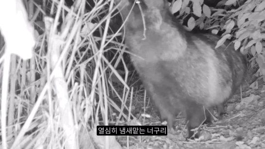 c3f00088374dacdca754f1daf75d1b2d7861eacf