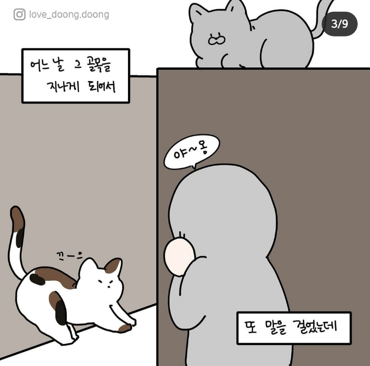 고양이랑 대화하는 방법.jpg | 인스티즈