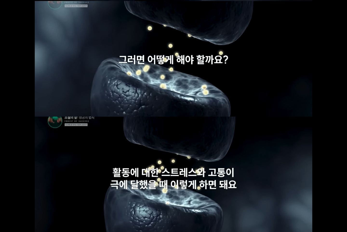 도파민 중독인 내가 도파민을 조절해 원하는 것을 이룰 수 있다고? | 인스티즈