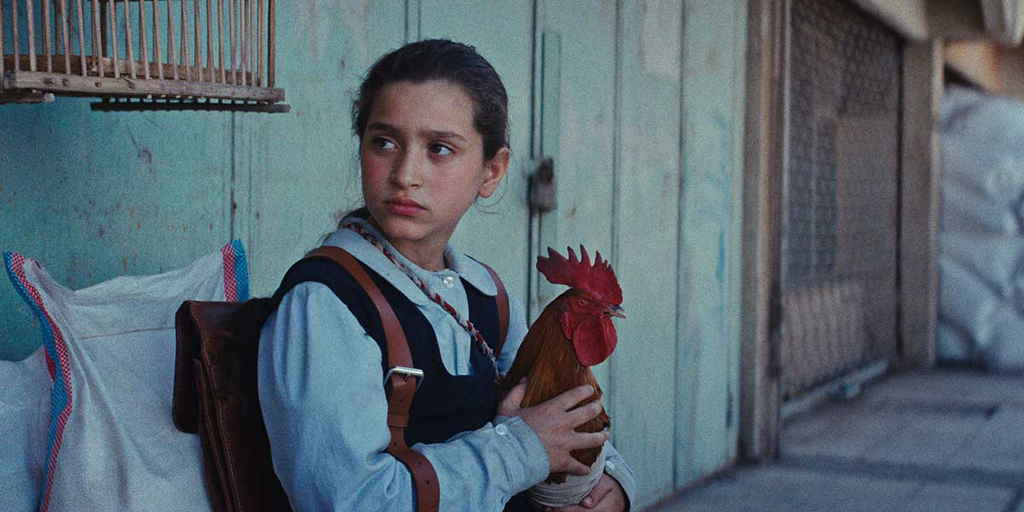 이번 부국제 상영작 중 수입해달라는 반응 많은 영화 3편 | 인스티즈