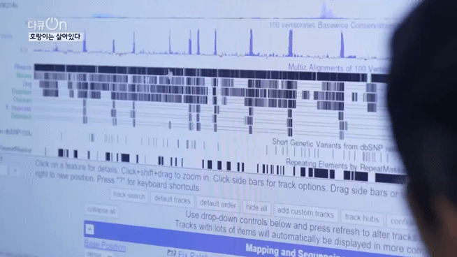 '절멸'의 '한국 호랑이'. 🐅 그 100년간의 이야기. -마지막- | 인스티즈