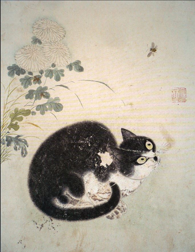 우리나라는 왜 고양이를 "나비야~"라고 부르게 됐을까 | 인스티즈