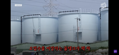 방사능 오염수에서 자란 맛 좋은 일본 광어 | 인스티즈