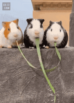 가운데 정말 양아치 | 인스티즈