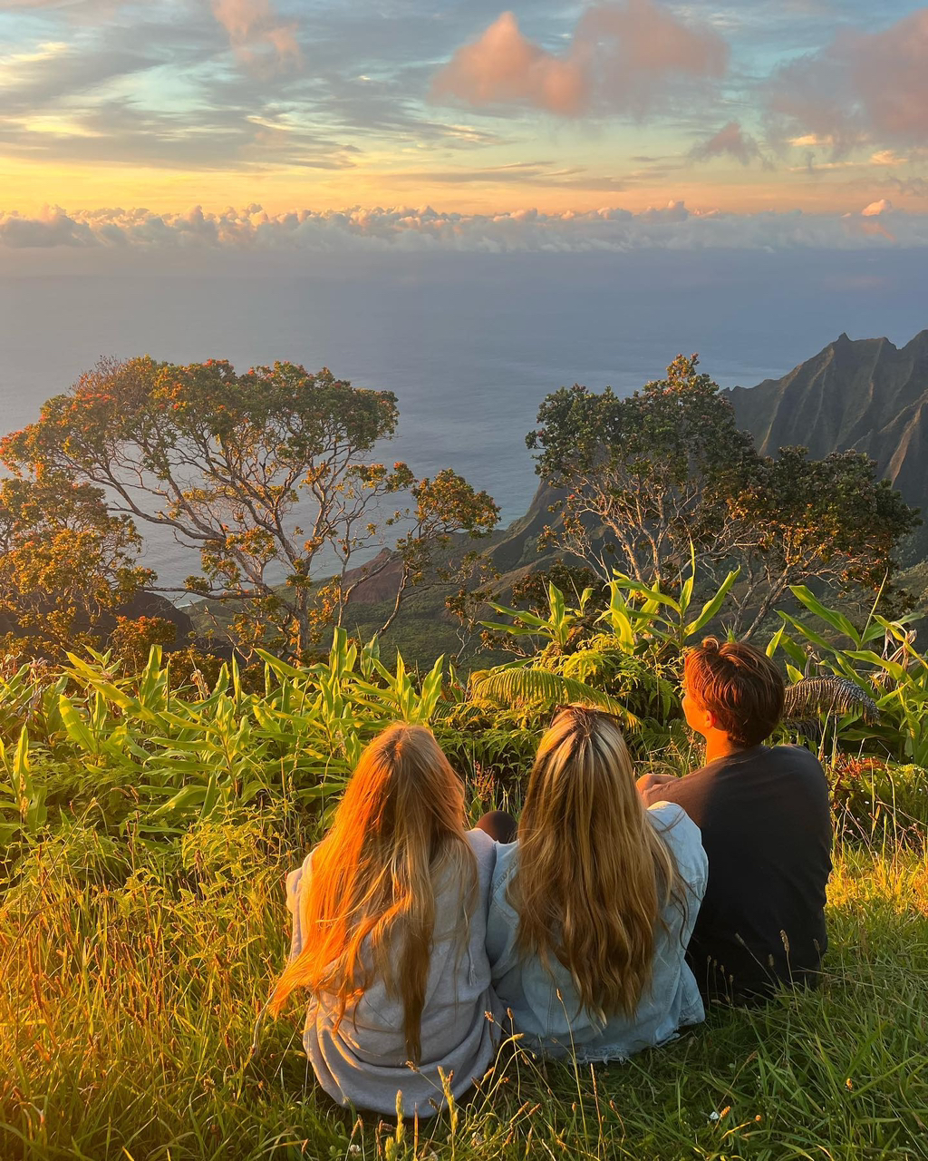 하와이에 사는 사람들이 올린 사진들 | 인스티즈