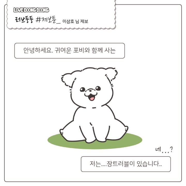 산책 중 사람이 실내배변을 할때 강아지 반응 | 인스티즈