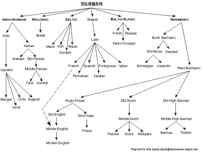 한국인들이 외국어 배우기 어려운 과학적인 이유 | 인스티즈